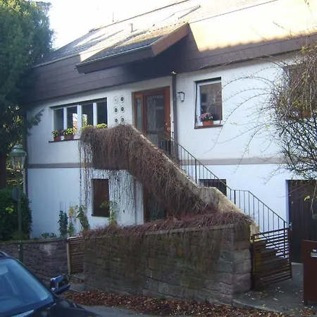 Garden Apartment Baden-Baden Exterior photo