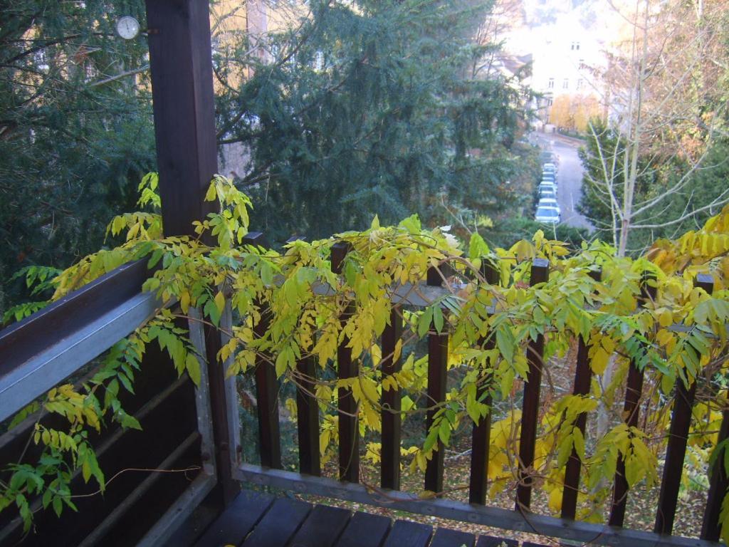 Apartment Garden